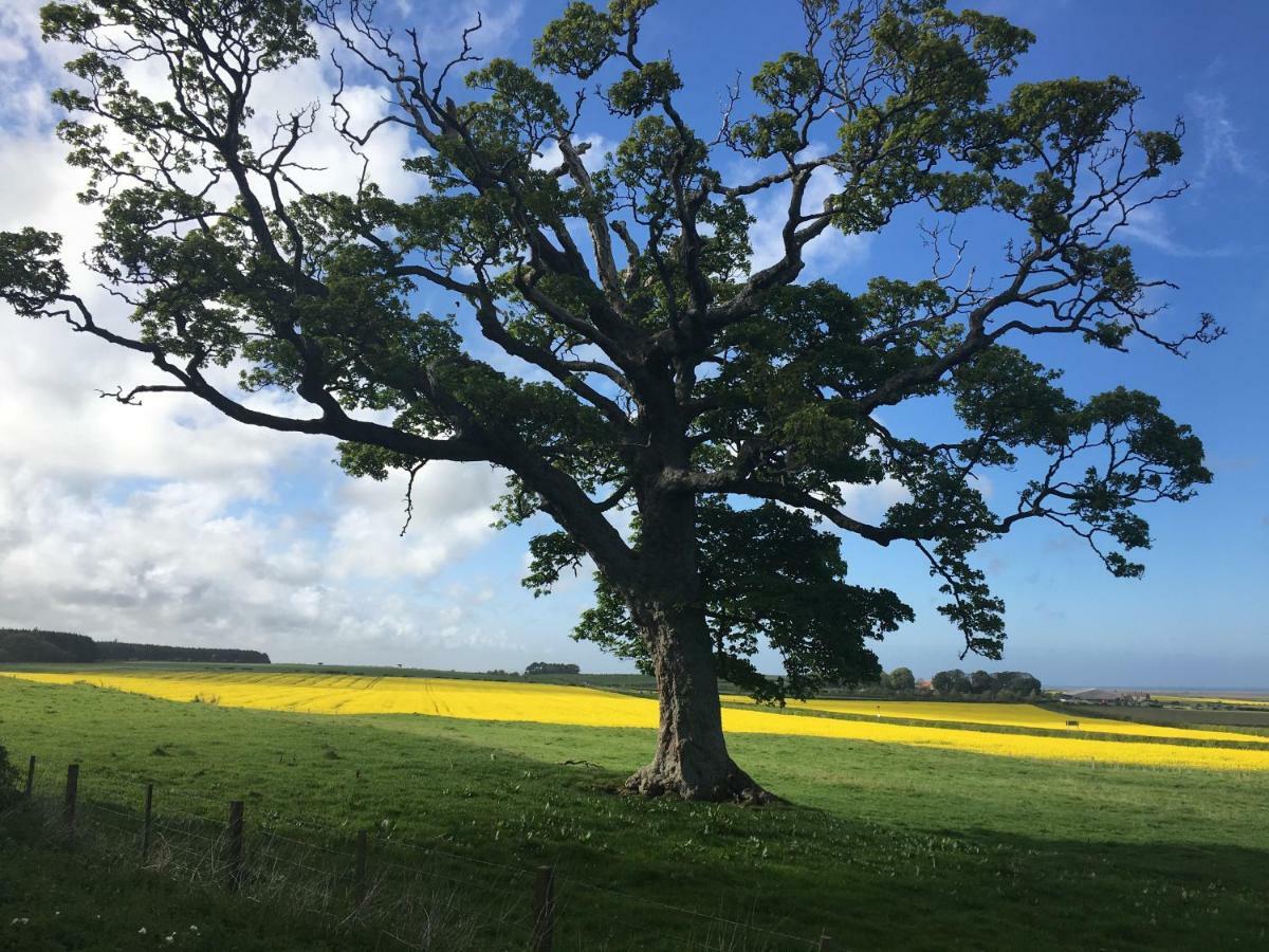 Buckton Farmhouse 벨퍼드 외부 사진